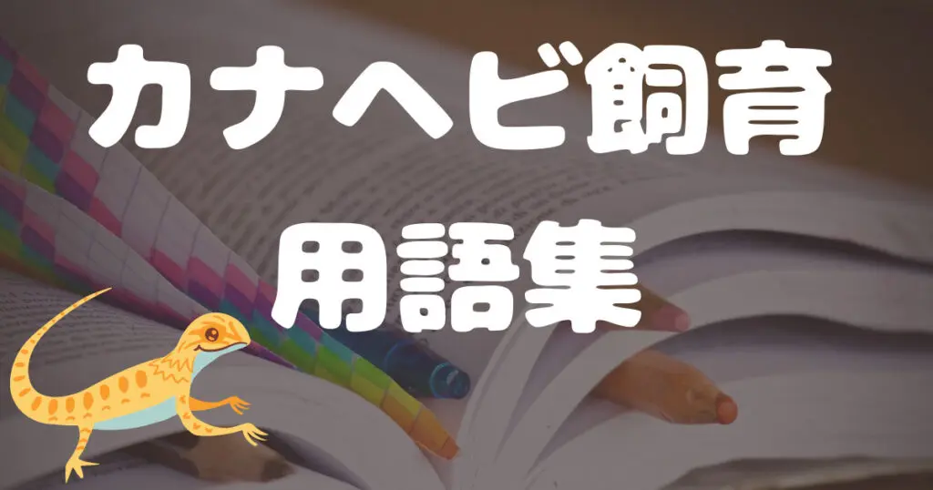 脱皮不全により指の欠損も カナヘビの成長のバロメーター 脱皮 や脱皮不全対策3選 カナヘビ飼育のためのカナパパブログ 脱皮不全により指の欠損も カナヘビの成長のバロメーター 脱皮 や脱皮不全対策3選 カナヘビ飼育のためのカナパパブログ