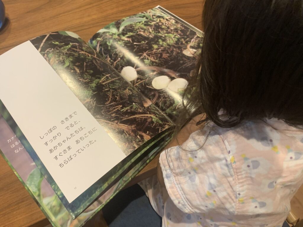 絵本をながめる3歳の長女