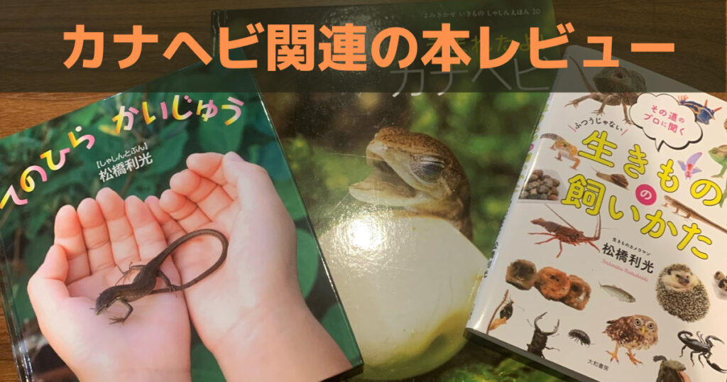 カナヘビの飼育本が欲しいあなたへ 検索トップに表示される3冊をレビュー